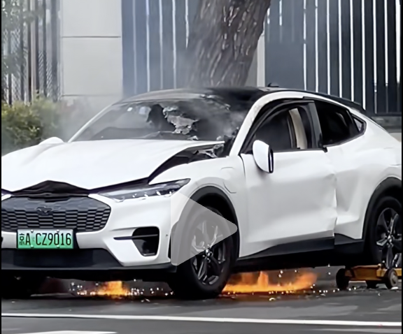 截屏2025-09-18 10.23.22.png